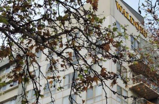 Image Source: agoda.com Waldorf Apartment Hotel Canberra
