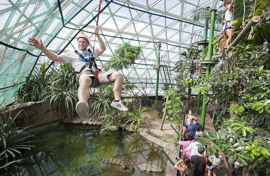 Image Source: tripadvisor.com Wildlife Dome